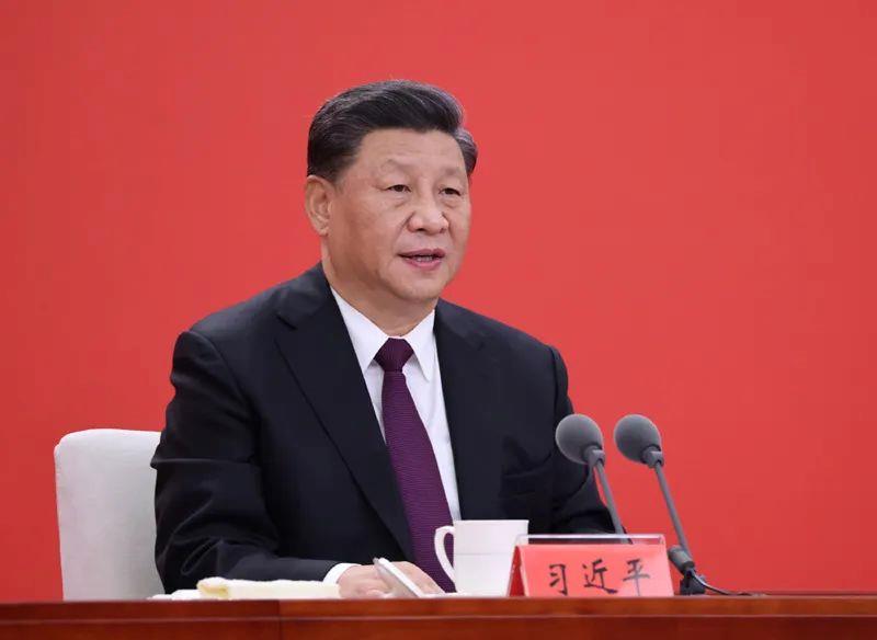 一棵树、一块石、一个村,从总书记的深圳足迹看改革