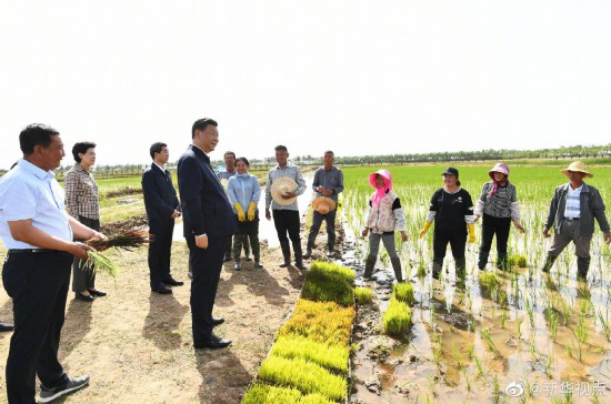 习近平：农业要节水化