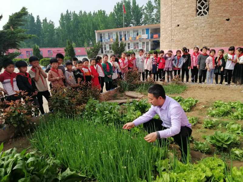 扎根农村教育 奉献无悔青春 ——记安阳县吕村镇前冯宿小学校长刘洪吉