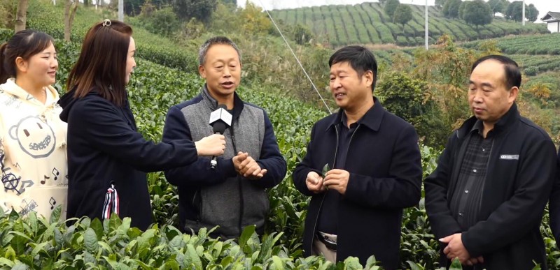 “碳氢无忧进千县 安全食品进万家”在贵州凯里启动