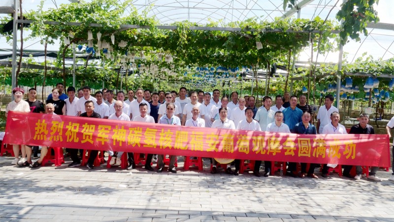 葡萄园里助农忙——碳氢核肥碳氢葡萄现场观摩会在福建福安象环村召开