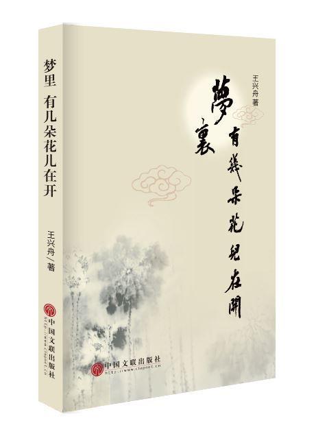 王兴舟《梦里 有几朵花儿在开》：告诉你散文最宝贵的品质是什么