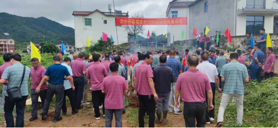 祖先福地好风光 叶茂根深播若芳