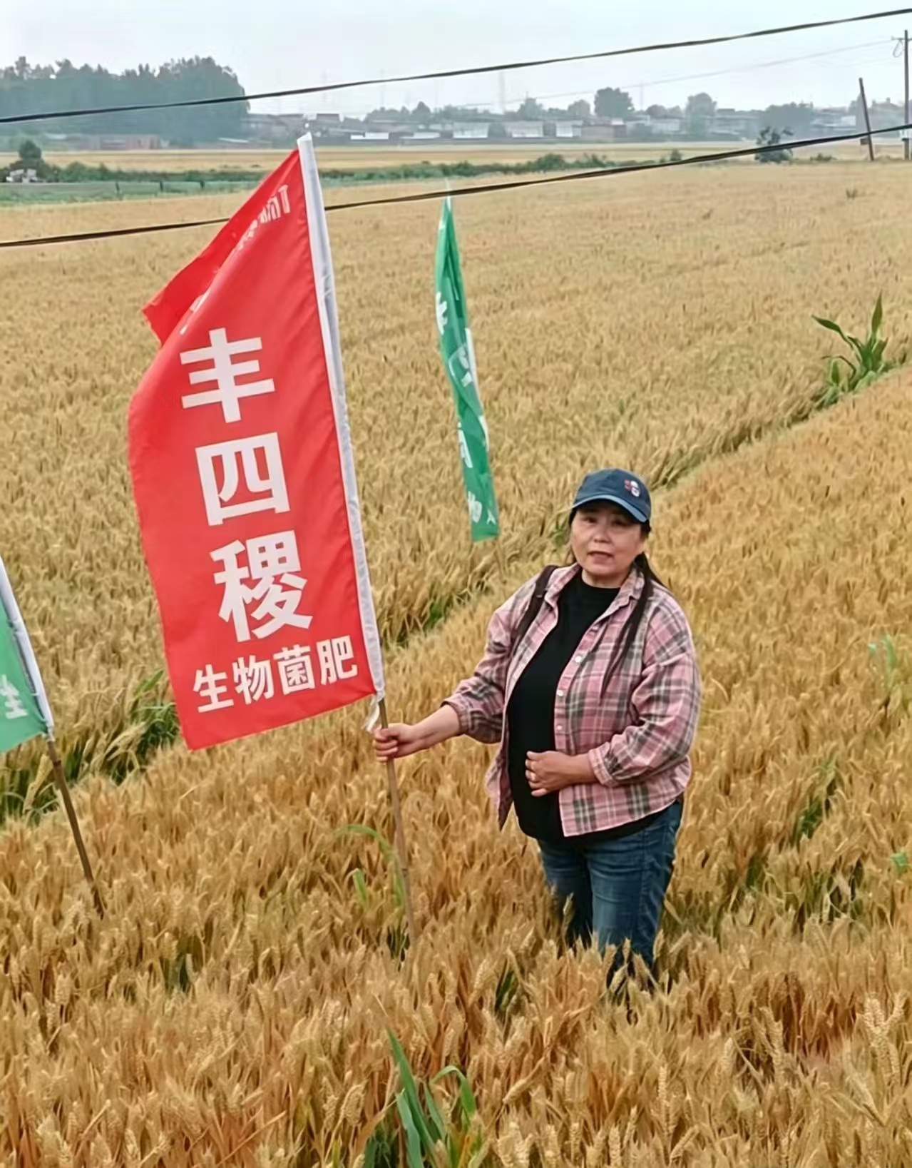 微信图片_20260526083351_6660_1